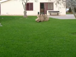 B&B Bonsai Санта-Мария-ла-Пальма 5*,  Италия